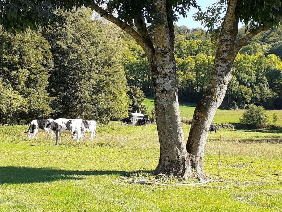 Сasa de vacaciones Reflets De Montagnes