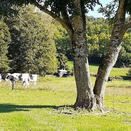 Villa Reflets De Montagnes Aubessagne Exterior foto